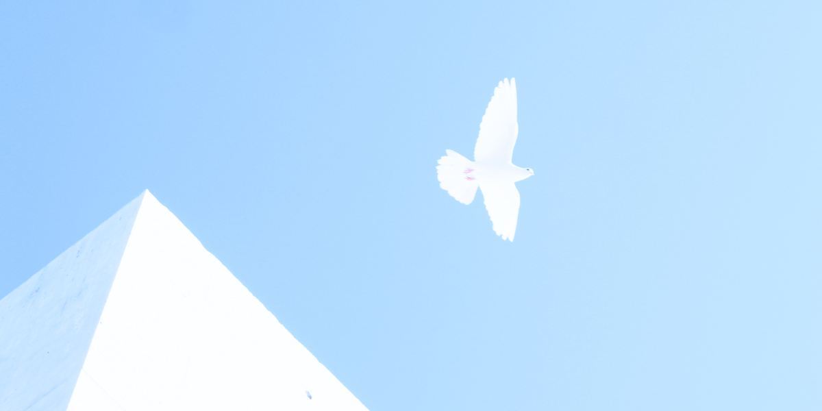 逢鳴建設