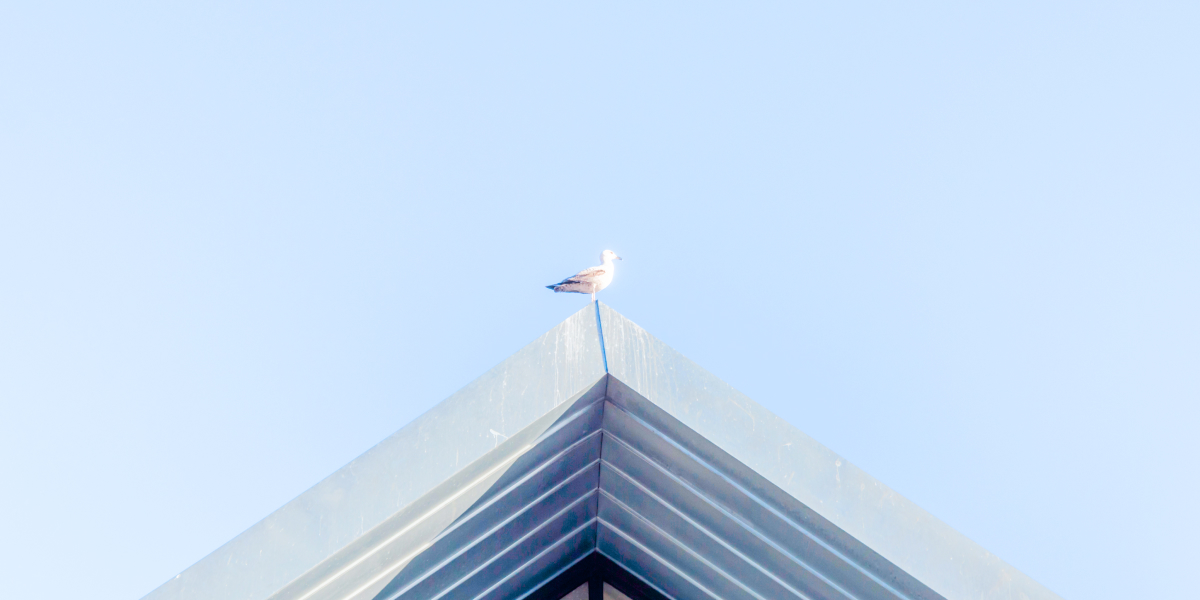 逢鳴建設